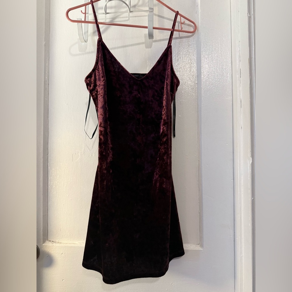 Forever 21 Burgundy Velvet Mini Dress